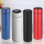 Temperature Water Bottle
