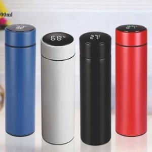 Temperature Water Bottle