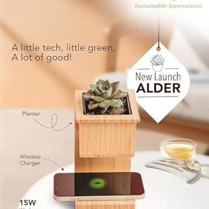 Alder wireless charger with planter